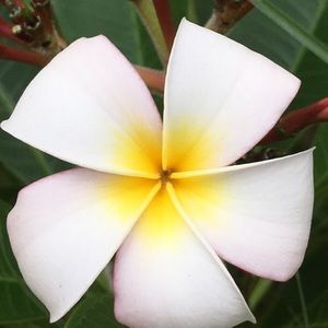 Meet your Posher, Nina